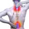 Spinal-cord Injury Lawsuits