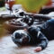 How to Prove Fault in Motorcycle Accident Personal Injury Case in Floyd County?
